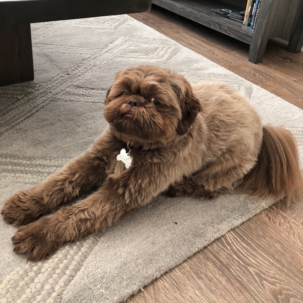 Meet your Posher, Rj